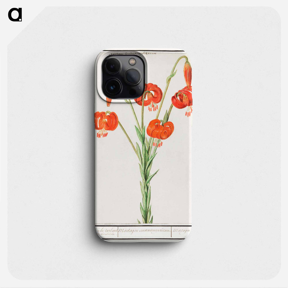 Red lily - アンセルムス ボエティウス デ ブート Phone Case.