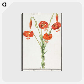 2-68_Anselmus-Boetius-de-Boodt_postcard