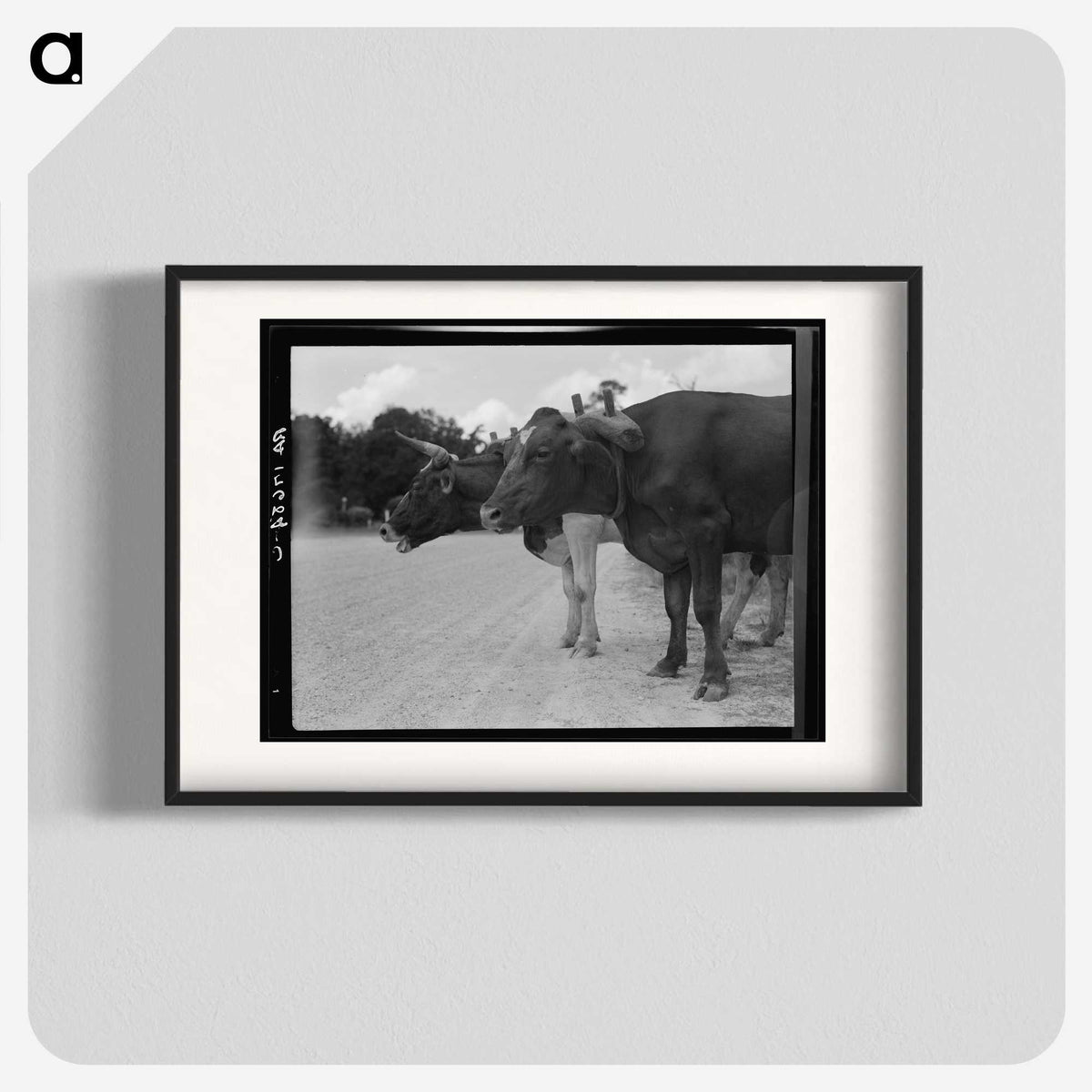 2-68_Dorothea-Lange_blk