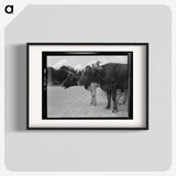 2-68_Dorothea-Lange_blk