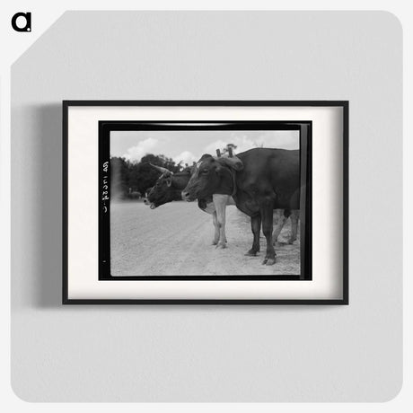 2-68_Dorothea-Lange_blk