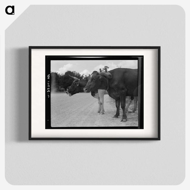 2-68_Dorothea-Lange_blk