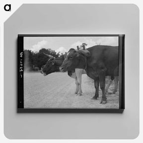 2-68_Dorothea-Lange_canvas