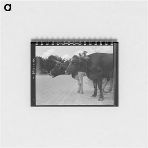 アートメモ帳-Ox team that hauls pulpwood - ドロテア ラング Memo.