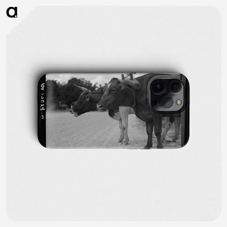 2-68_Dorothea-Lange_phone