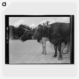 2-68_Dorothea-Lange_picture-crop