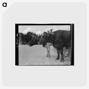 2-68_Dorothea-Lange_postcard