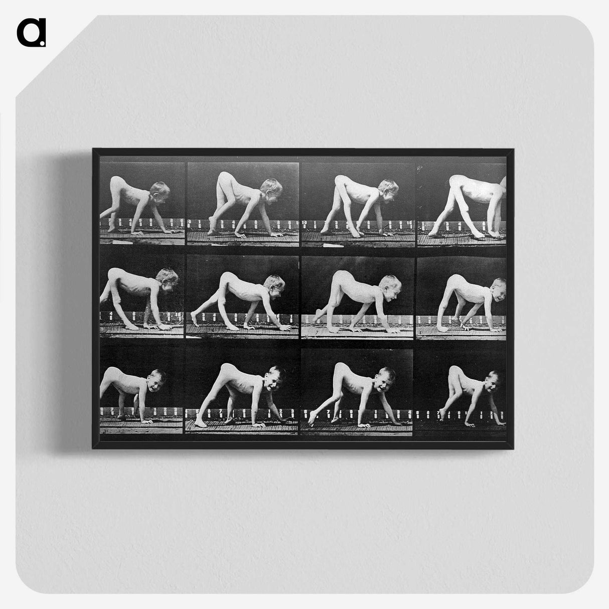 2-68_Eadweard-Muybridge_blk-crop