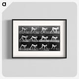 2-68_Eadweard-Muybridge_blk