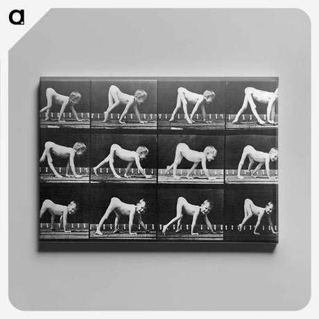 2-68_Eadweard-Muybridge_canvas