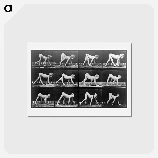 アートポストカード-Paralytic Child Walking
 - エドワード マイブリッジ Postcard.