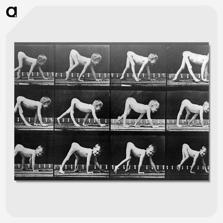2-68_Eadweard-Muybridge_picture-crop