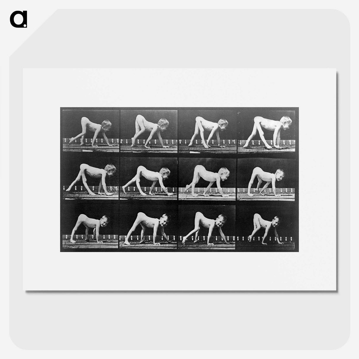 2-68_Eadweard-Muybridge_picture