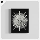 2-68_Ernst-Haeckel_blk-crop