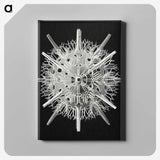 2-68_Ernst-Haeckel_canvas