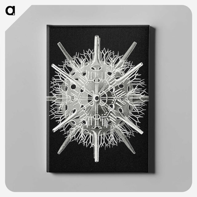 2-68_Ernst-Haeckel_canvas