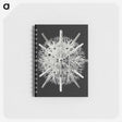 2-68_Ernst-Haeckel_memo