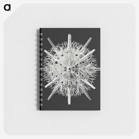 2-68_Ernst-Haeckel_memo