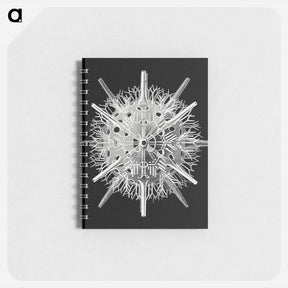 アートメモ帳-Vintage marine life illustration - エルンスト ヘッケル Memo.