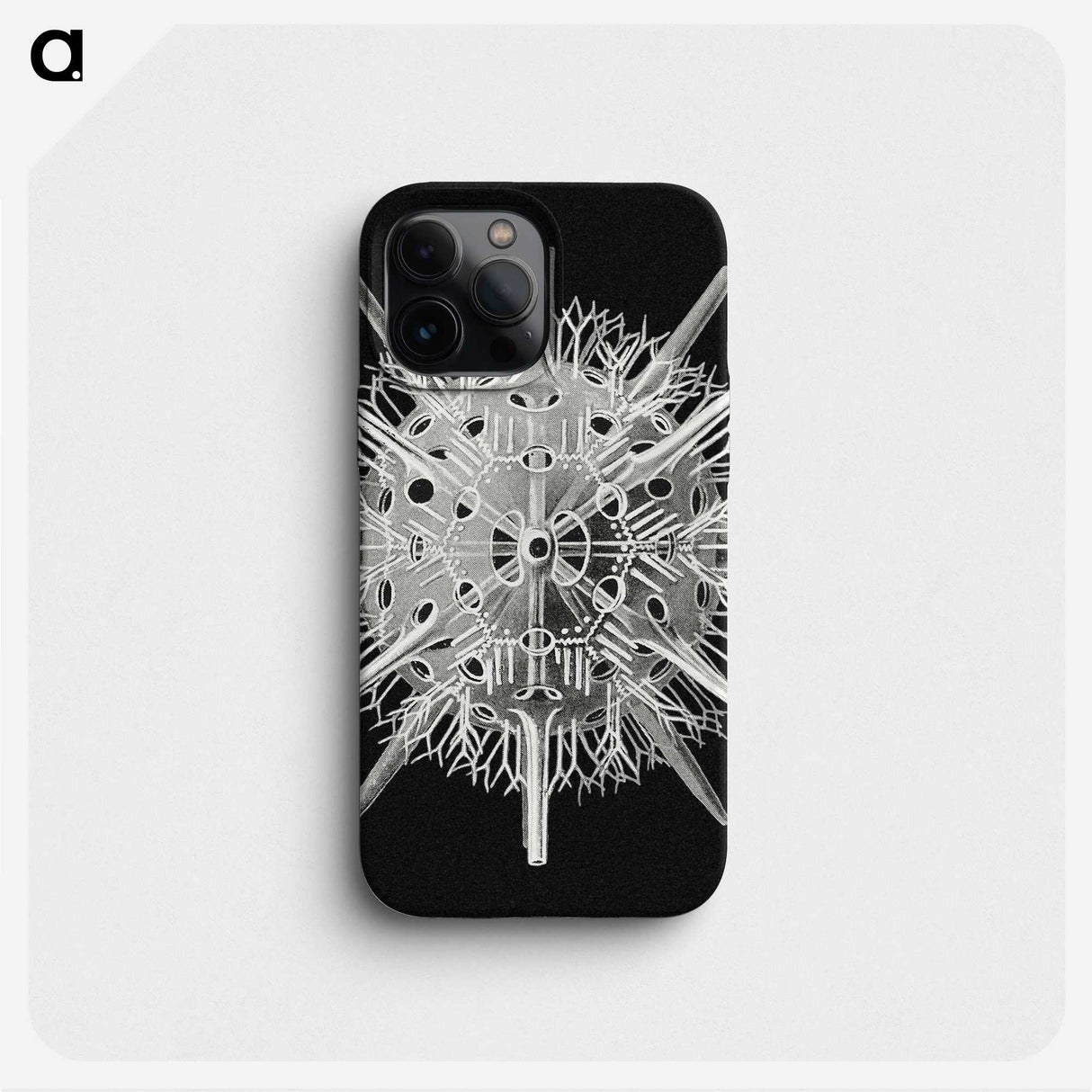 2-68_Ernst-Haeckel_phone