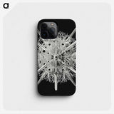 2-68_Ernst-Haeckel_phone