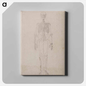 アートパネル-Human Skeleton, Anterior View
 - ジョージ スタッブス Canvas.