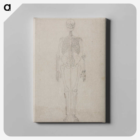 2-68_George-Stubbs_canvas