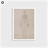 アートポストカード-Human Skeleton, Anterior View
 - ジョージ スタッブス Postcard.