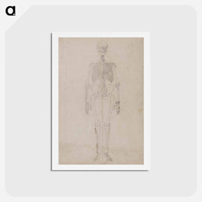 アートポストカード-Human Skeleton, Anterior View
 - ジョージ スタッブス Postcard.