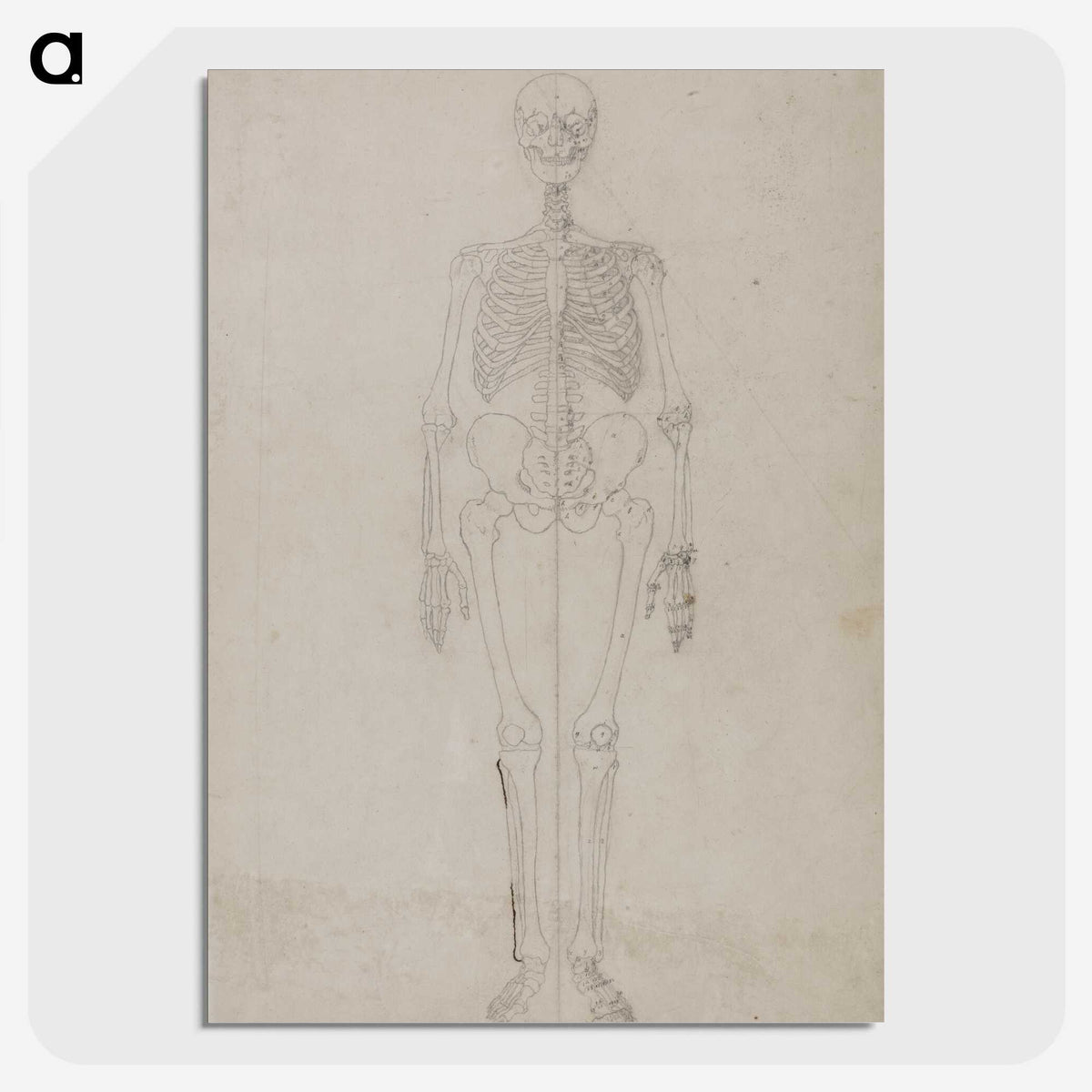 2-68_George-Stubbs_picture-crop