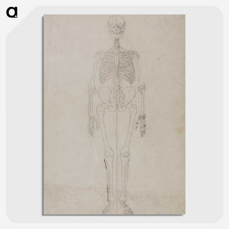 2-68_George-Stubbs_picture-crop