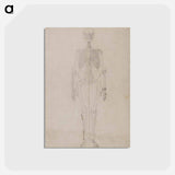 アートポストカード-Human Skeleton, Anterior View
 - ジョージ スタッブス Postcard.