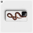 2-68_Ichtyologie-ou-Histoire-naturelle_phone