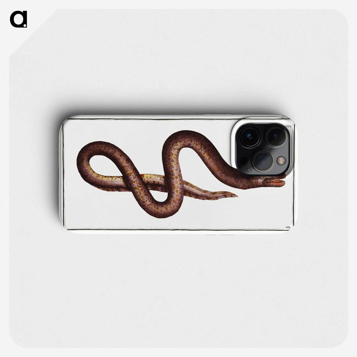 2-68_Ichtyologie-ou-Histoire-naturelle_phone
