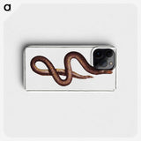 2-68_Ichtyologie-ou-Histoire-naturelle_phone
