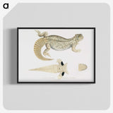 2-68_Indian-Zoology_blk-crop