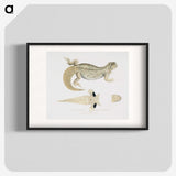 2-68_Indian-Zoology_blk