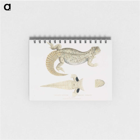2-68_Indian-Zoology_memo