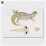 2-68_Indian-Zoology_picture-crop