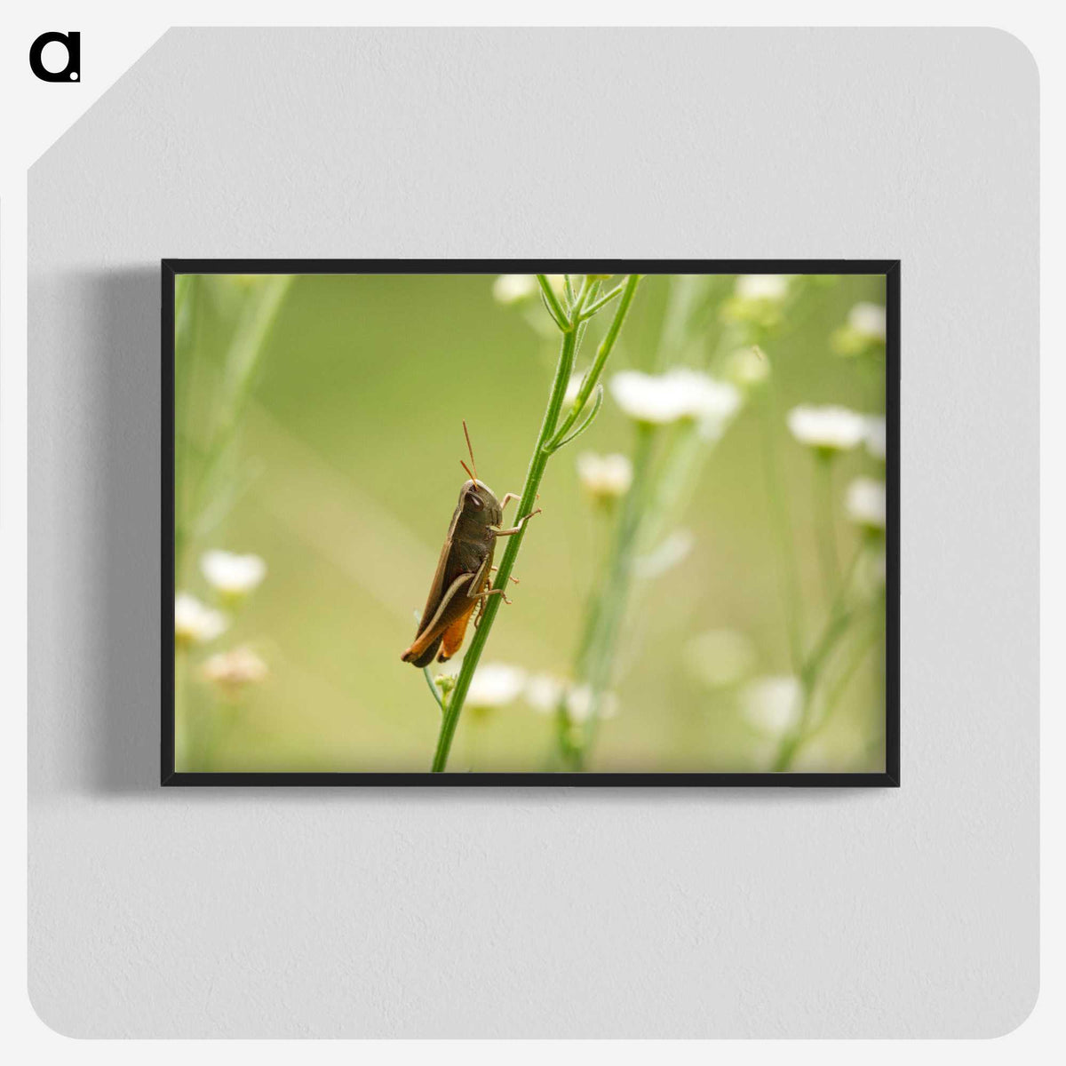 2-68_Insects-Unlocked-Project_blk-crop
