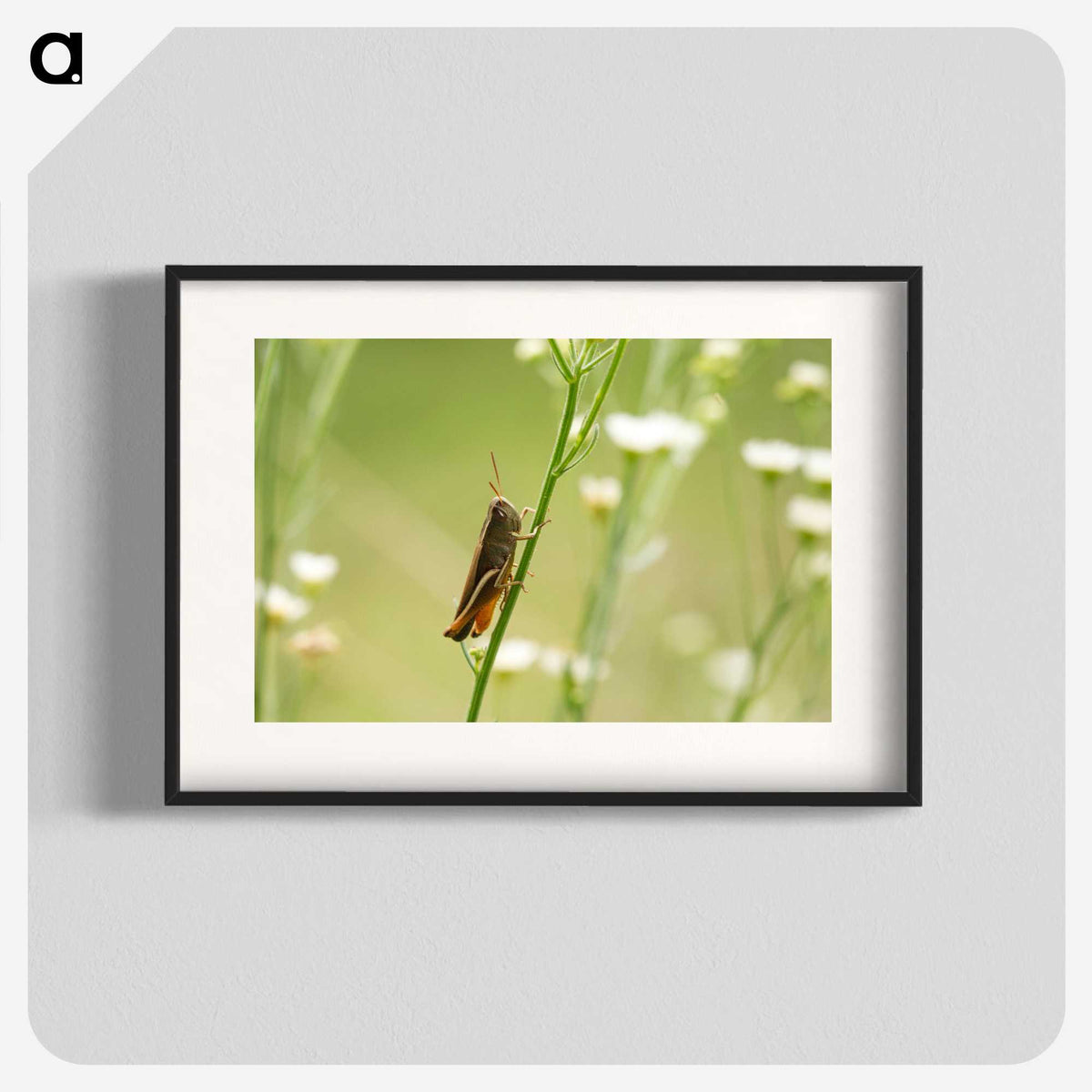 2-68_Insects-Unlocked-Project_blk