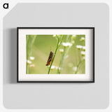 2-68_Insects-Unlocked-Project_blk