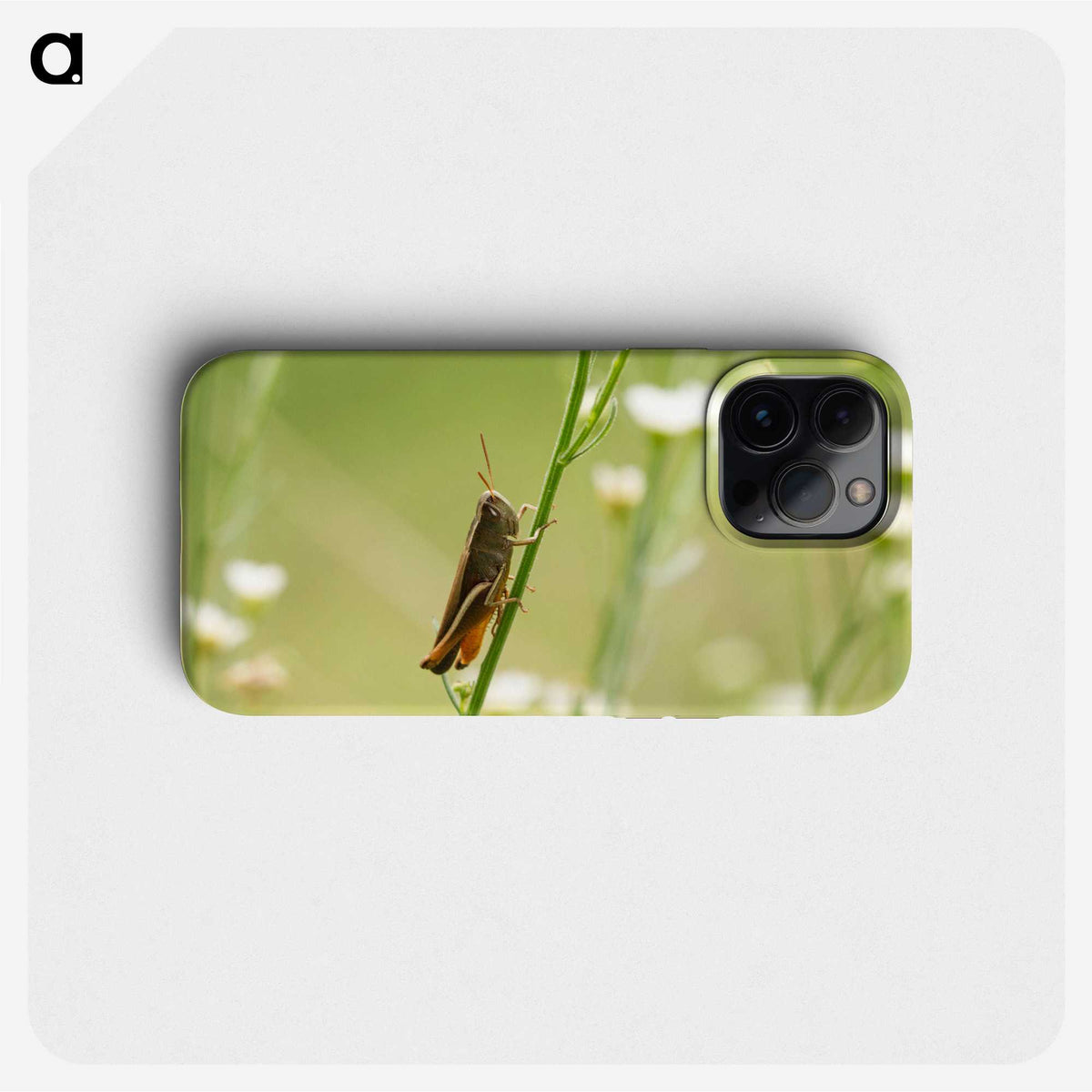 2-68_Insects-Unlocked-Project_phone