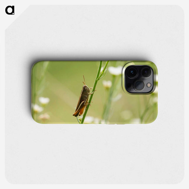 2-68_Insects-Unlocked-Project_phone