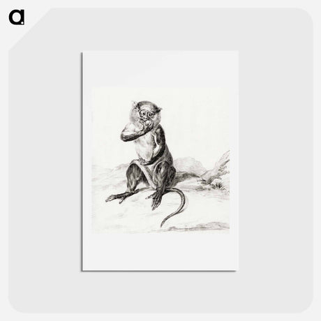 アートポストカード-Sitting monkey, eating a fruit - ジャン ベルナール Postcard.