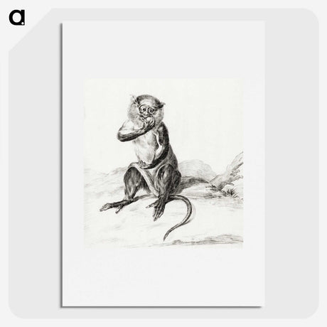 2-68_Jean-Bernard_picture