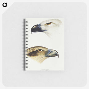 2-68_John-Gould_memo
