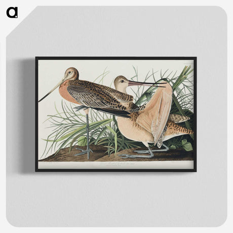2-68_John-James-Audubon_blk-crop