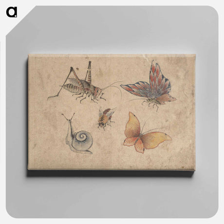 アートパネル-Album of Sketches by Katsushika Hokusai and His Disciples - 葛飾 北斎 Canvas.