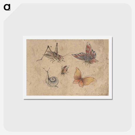 アートポストカード-Album of Sketches by Katsushika Hokusai and His Disciples - 葛飾 北斎 Postcard.